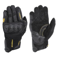 held sambia kangaroo pair